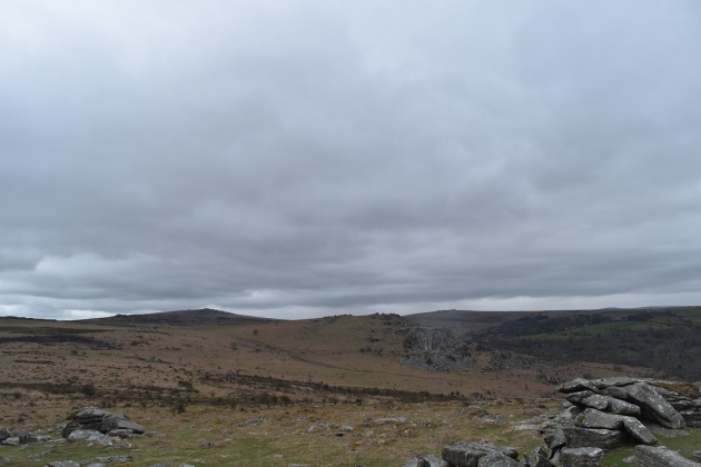 Holwell Tor 3