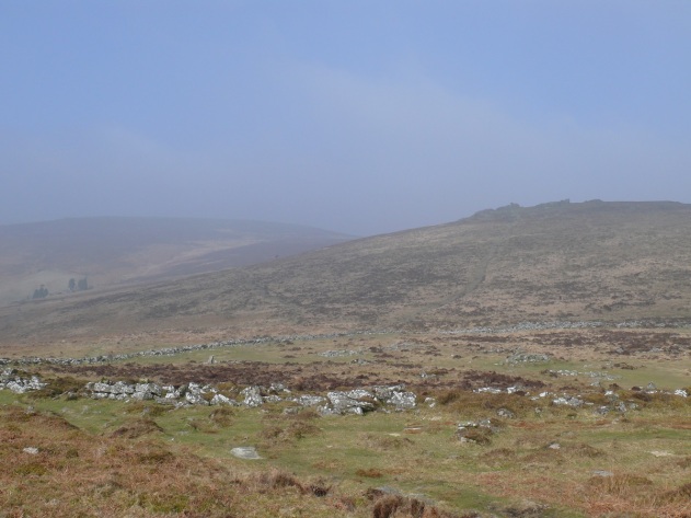 Hookney Tor to the right above Grimspound