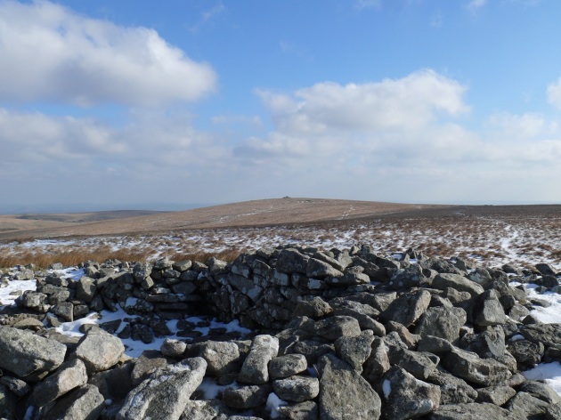 Eastern White Barrow from its Western cousin